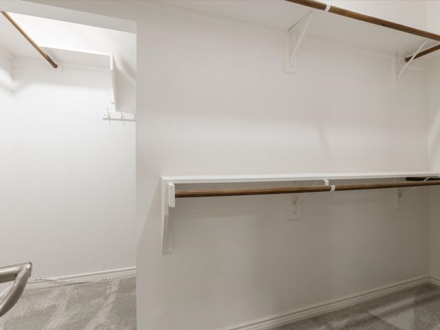 3700 Blanco Creek Trail, Mckinney, TX 75070