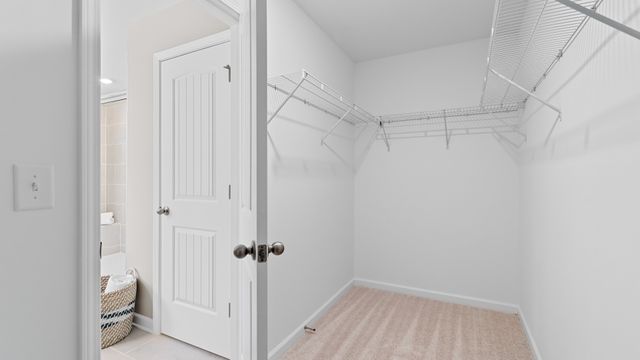 332 Black Bear Drive, Mount Pleasant, TN 38474