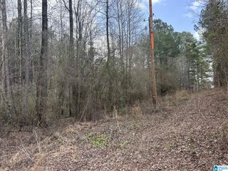 1355 OLD PORT DRIVE, Mulga, AL 35118