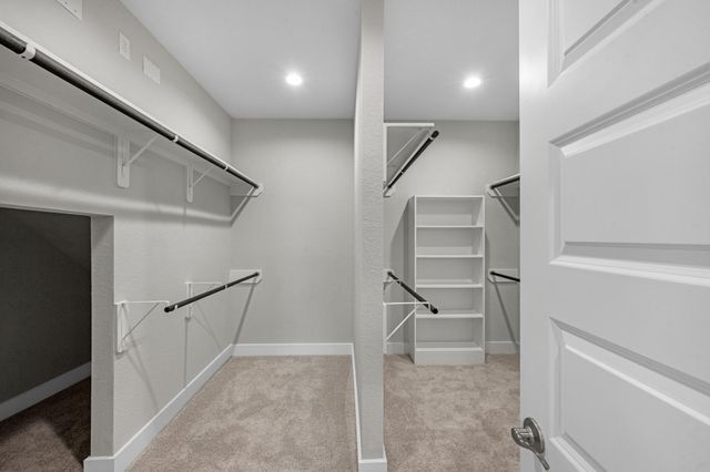 2934 Belle Tree Lane, Katy, TX 77493