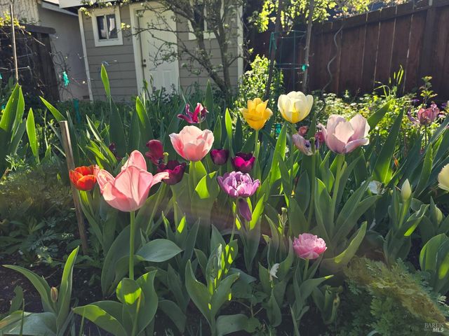 31 Rowland Ct, San Anselmo, CA 94960