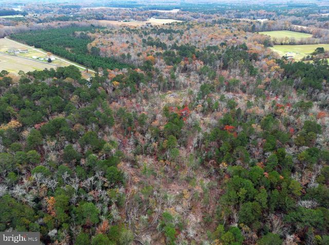 00 ERICA RD, Montross, VA 22520