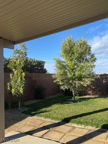 401 Olive Branch Lane, Pahrump, NV 89048