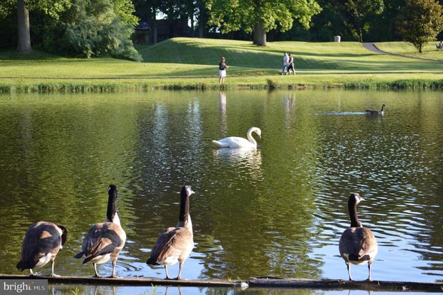 5482 MIDSHIP CT, Burke, VA 22015