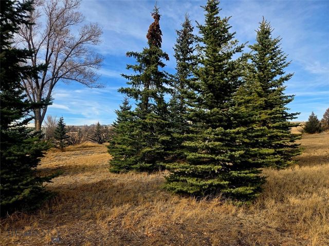 117 Yellowstone, Whitehall, MT 59759