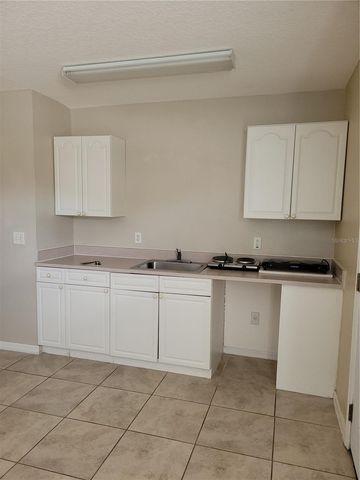 1325 WASHINGTON PALM LOOP, Davenport, FL 33897