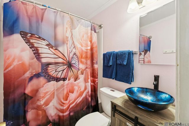 9490 Dabney Dr, Denham Springs, LA 70726