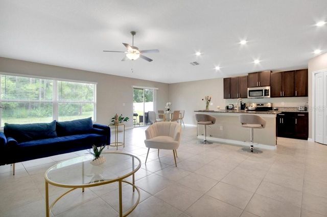 13419 WILLOW BLUESTAR LOOP, Riverview, FL 33579