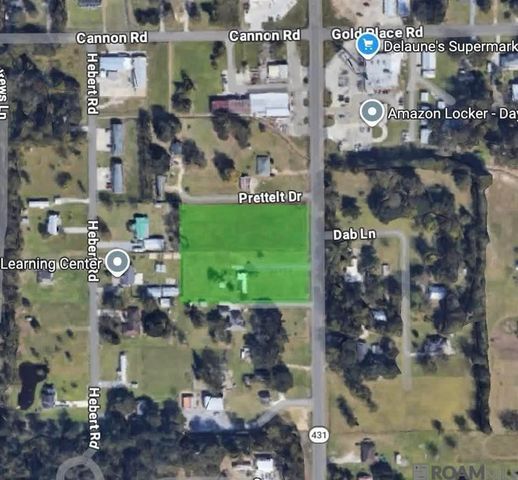 TBA La Hwy 431, St Amant, LA 70774