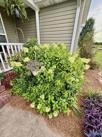 3354 Joel Street, Hokes Bluff, AL 35903