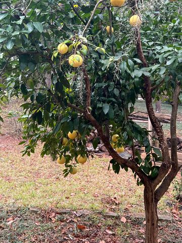 551 GOULD Road, Quincy, FL 32351