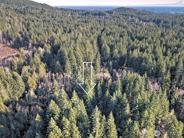 91 N Wigeon Place, Hoodsport, WA 98584