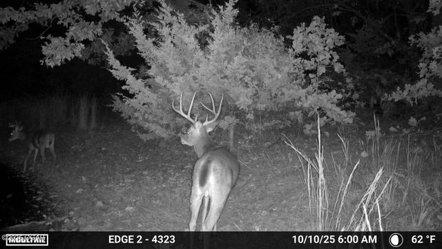 3735 Dakota Lane, Joplin, MO 64804