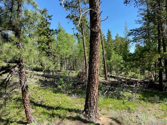 1118 Copperdale Lane, Golden, CO 80403