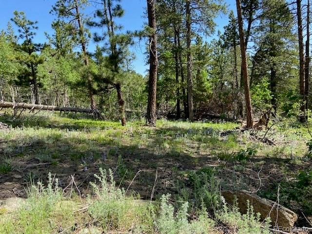 1118 Copperdale Lane, Golden, CO 80403