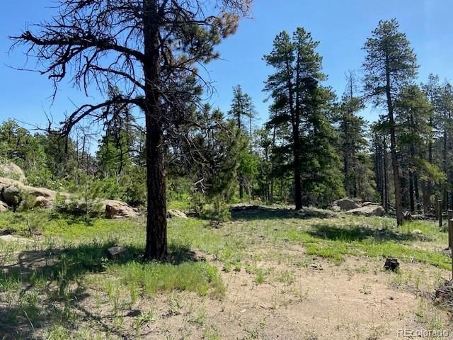 1118 Copperdale Lane, Golden, CO 80403