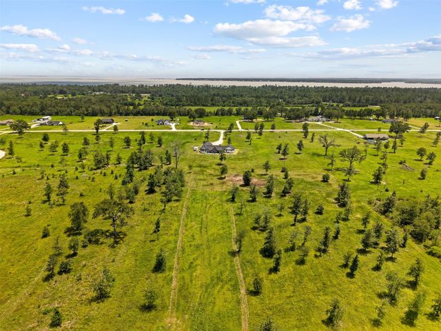 565 Brushy Creek Drive, Onalaska, TX 77360