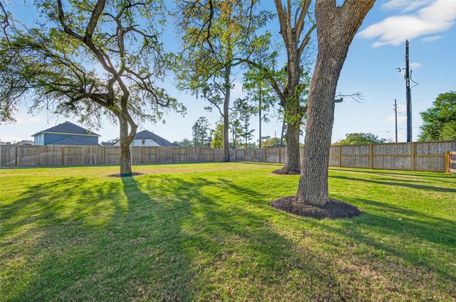 21915 Hibiscus Hedge Trail, Tomball, TX 77377