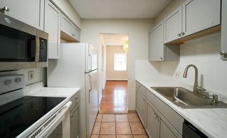 16 Winter 41A, Waltham, MA 02451