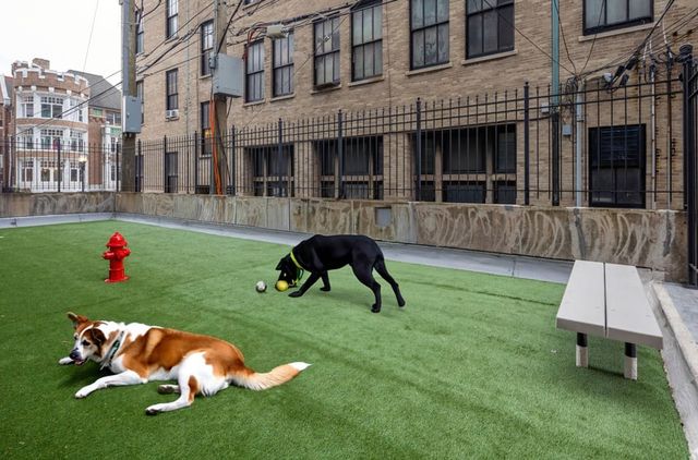 5600 N Sheridan Road 3D, Chicago, IL 60660