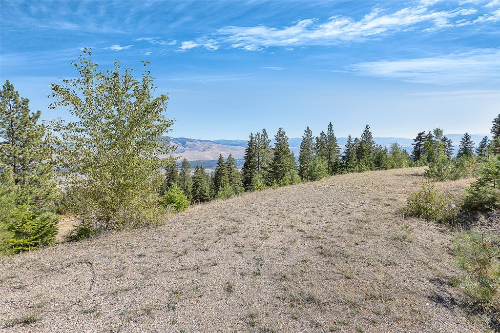 000 Ponderosa Ridge, Florence, MT 59833 photo 5