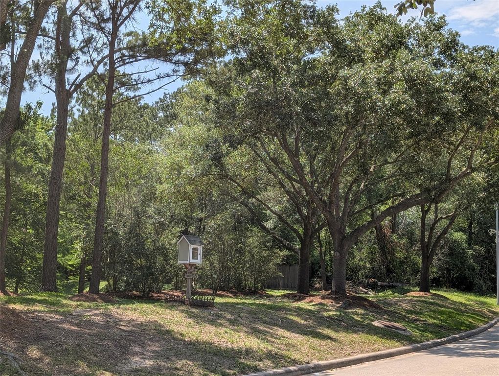 16103 Wimbledon Forest Drive, Spring, TX 77379