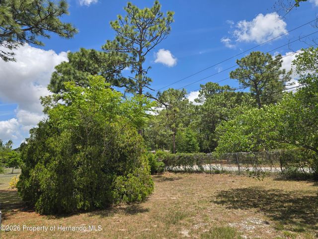 7238 Fitzpatrick Avenue, Brooksville, FL 34613