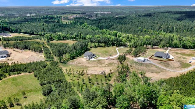 1376 JOINERTOWN ROAD, Columbiana, AL 35051
