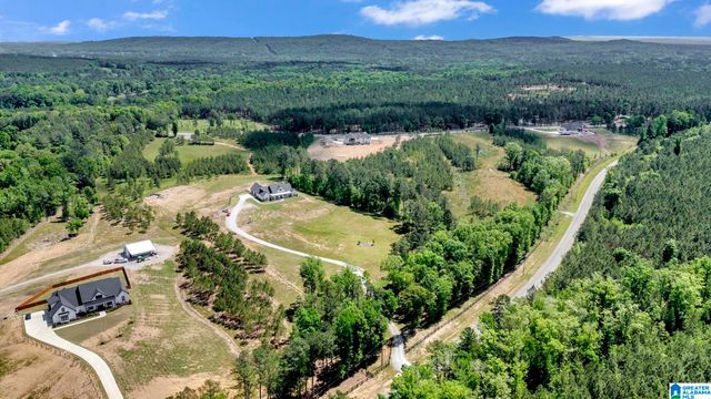 1376 JOINERTOWN ROAD, Columbiana, AL 35051