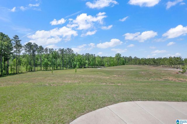 1376 JOINERTOWN ROAD, Columbiana, AL 35051