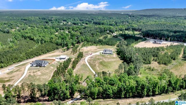 1376 JOINERTOWN ROAD, Columbiana, AL 35051