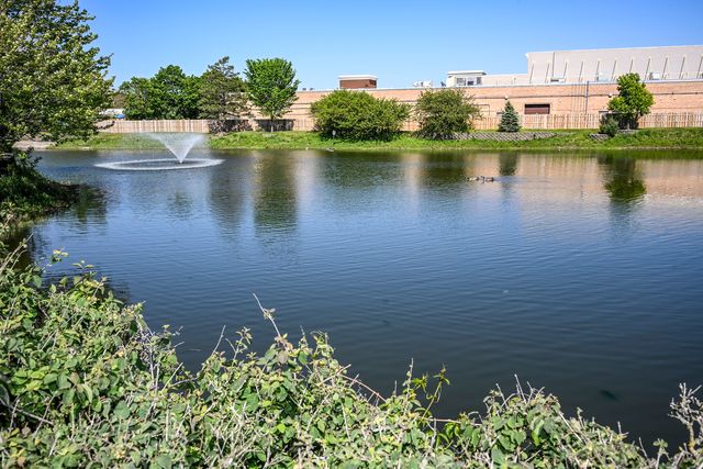 2208 Lake Ridge Drive 2208, Glendale Heights, IL 60139