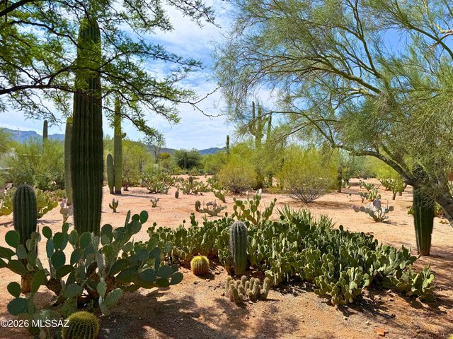 6075 N Van Ark Road, Tucson, AZ 85743