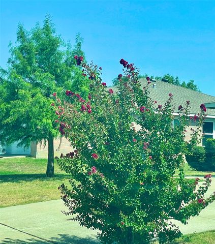 1308 Wenatchee Drive, Krum, TX 76249