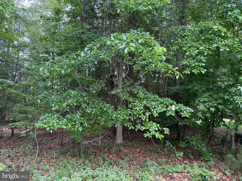 14680 BAR HARBOR CT, Issue, MD 20645