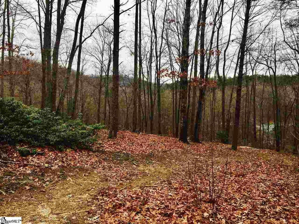 7 Lookout Ridge Drive, Travelers Rest, SC 29690