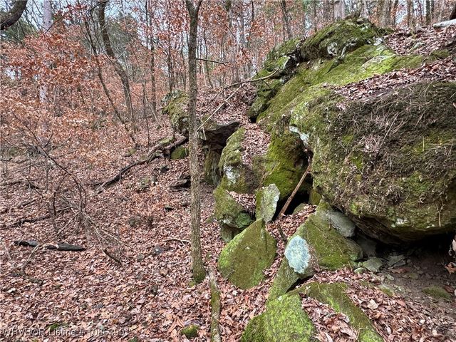 26391 Billy Creek Lane, Muse, OK 74949