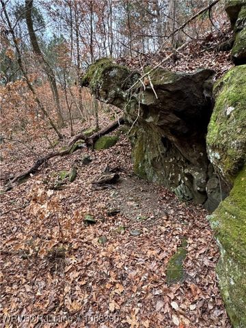 26391 Billy Creek Lane, Muse, OK 74949