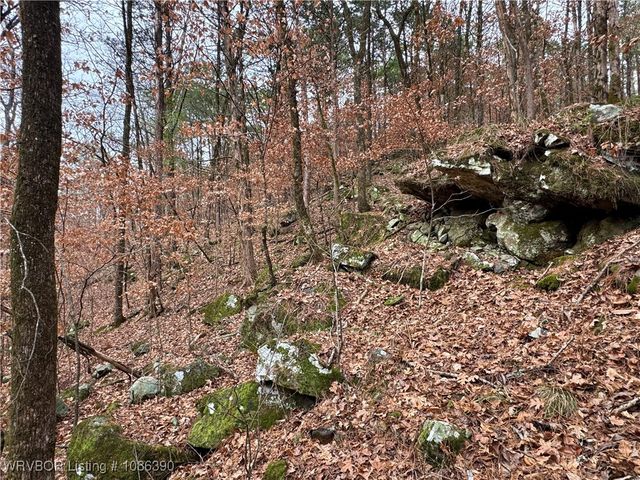 26391 Billy Creek Lane, Muse, OK 74949