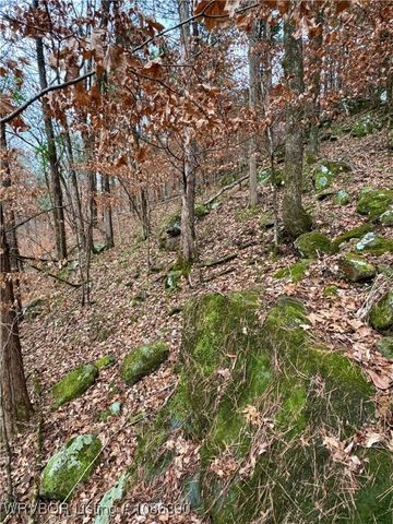 26391 Billy Creek Lane, Muse, OK 74949