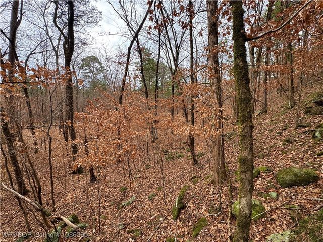 26391 Billy Creek Lane, Muse, OK 74949