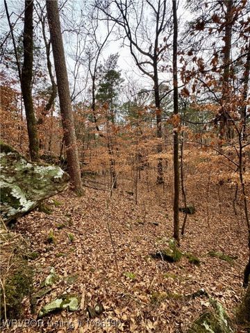 26391 Billy Creek Lane, Muse, OK 74949