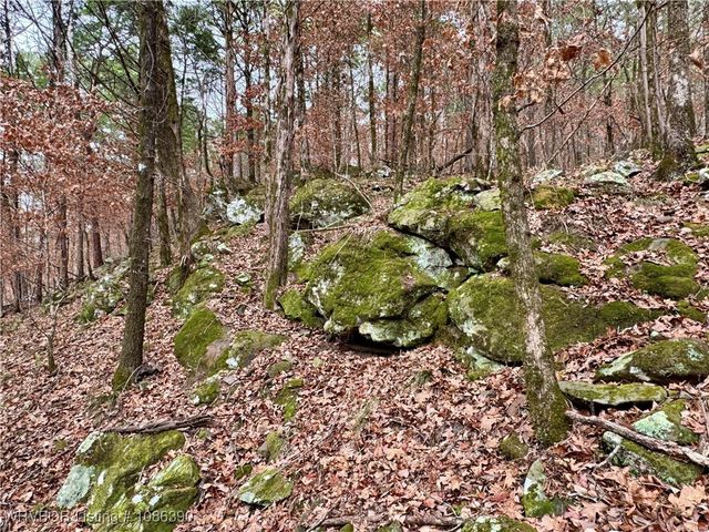 26391 Billy Creek Lane, Muse, OK 74949