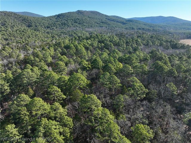 26391 Billy Creek Lane, Muse, OK 74949