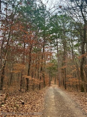 26391 Billy Creek Lane, Muse, OK 74949