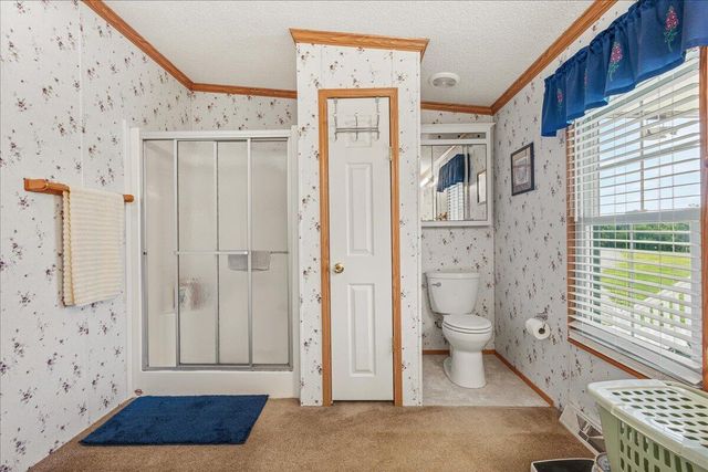 1150 Goodfield Road, Decatur, TN 37322