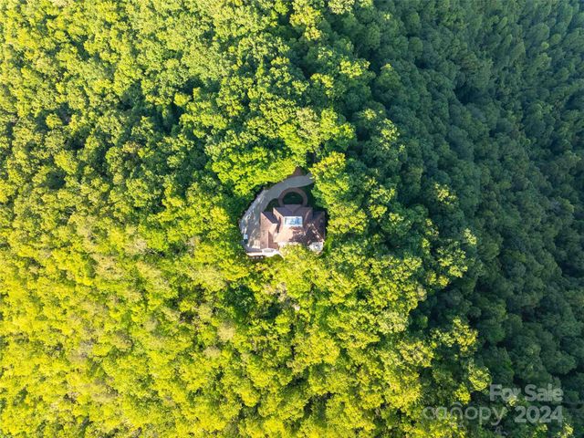1767 Ridge Way Street, Sylva, NC 28779