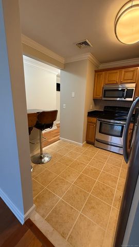 19 Isaacs Street APT 300, Norwalk, CT 06850