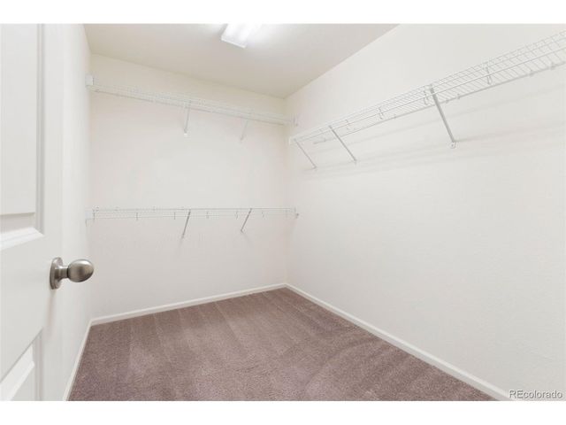 4354 N Meadows Dr, Castle Rock, CO 80109