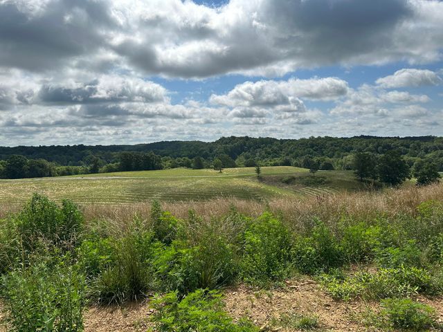 Tract 14 Eagle Landing Road, London, KY 40741